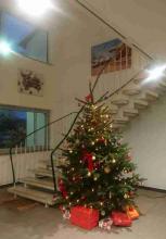 Unser Baum im Foyer